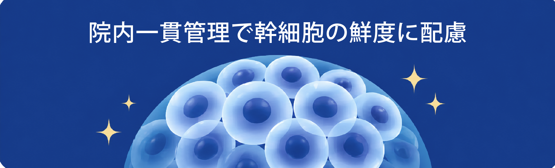 院内CPCで幹細胞の鮮度が保たれるイメージ