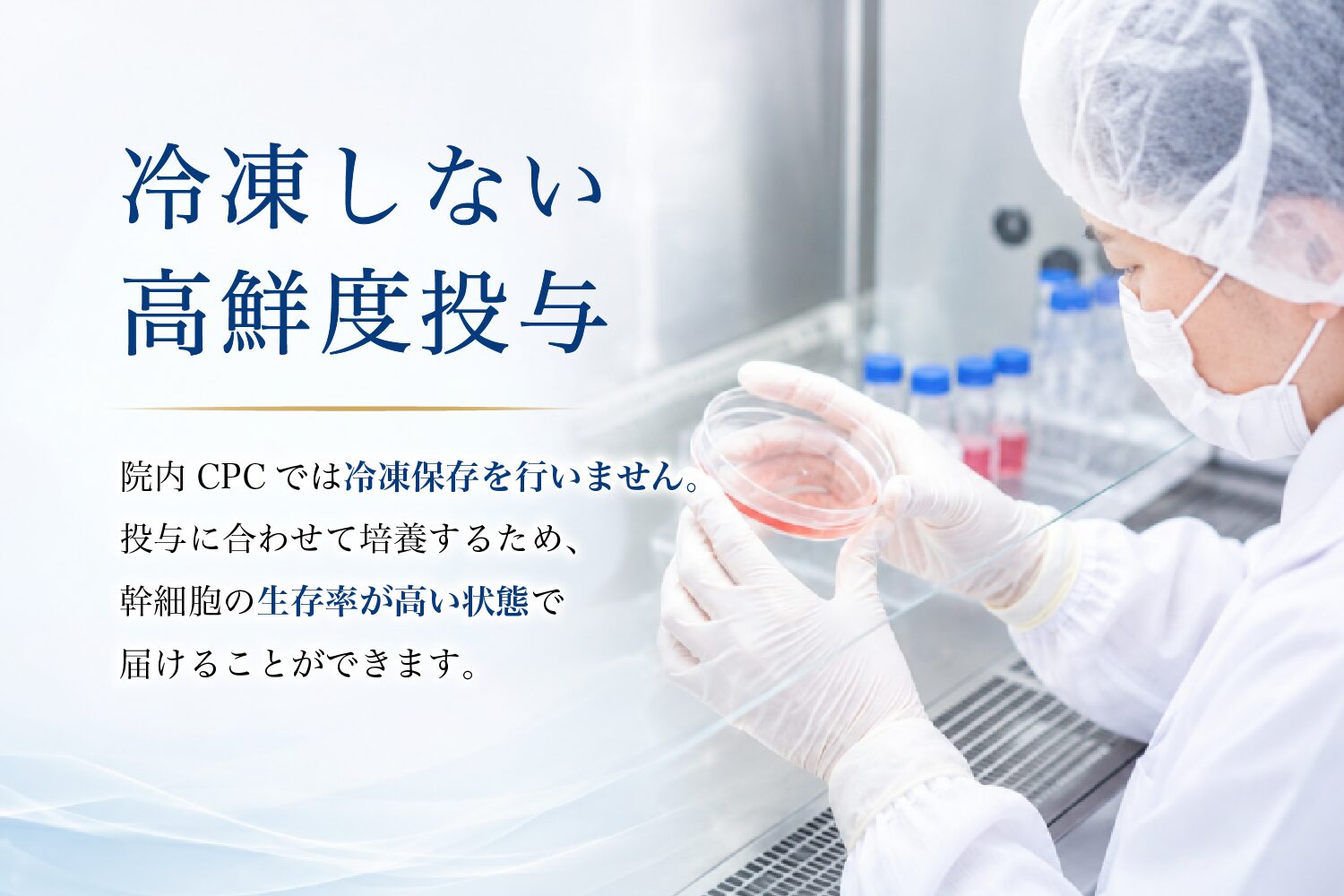 安全キャビネットでの培養作業