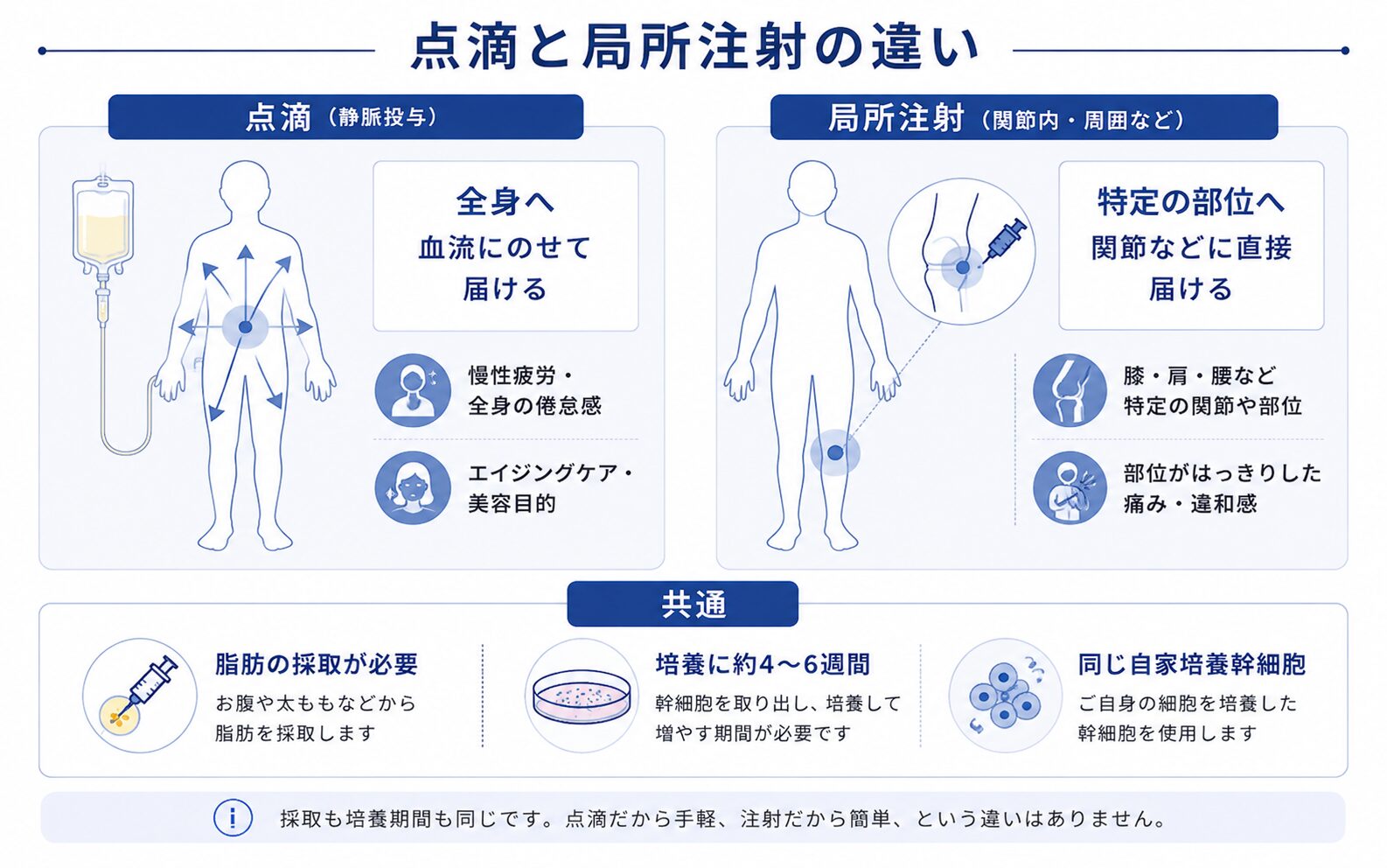 点滴と局所注射の違い。点滴は血流にのせて全身へ、局所注射は関節などの特定の部位へ届ける。脂肪の採取と約4〜6週間の培養はどちらも必要
