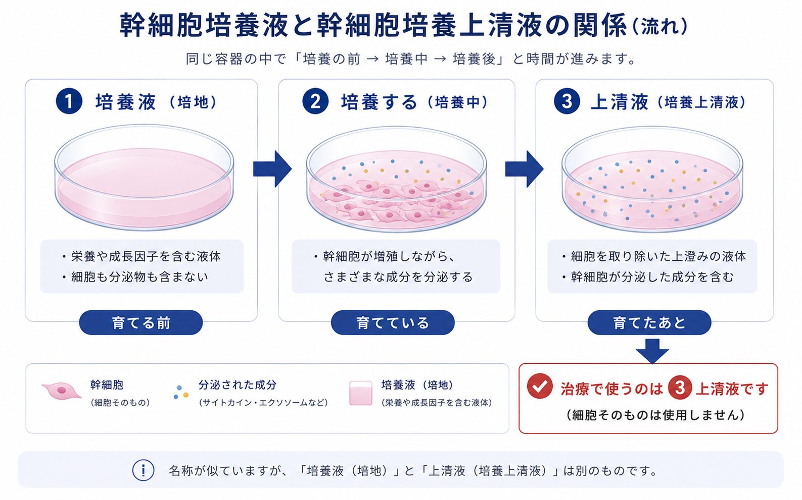 幹細胞培養液と幹細胞培養上清液の関係を示した流れ図。培養前の栄養液が培養液、細胞を除いた培養後の上澄みが上清液。治療で使うのは上清液