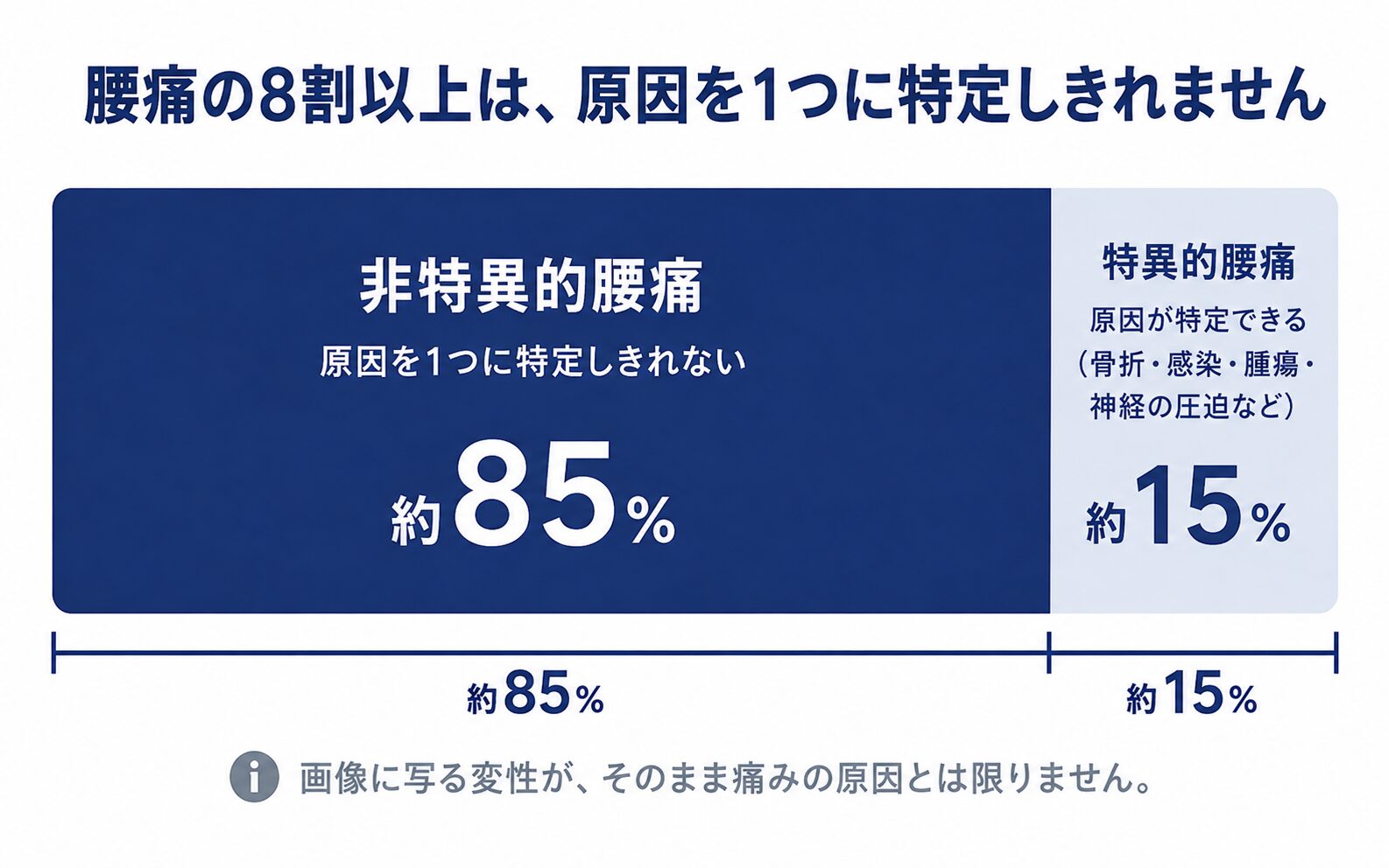 腰痛のうち原因を特定できる特異的腰痛と、特定しきれない非特異的腰痛の割合を示した図解