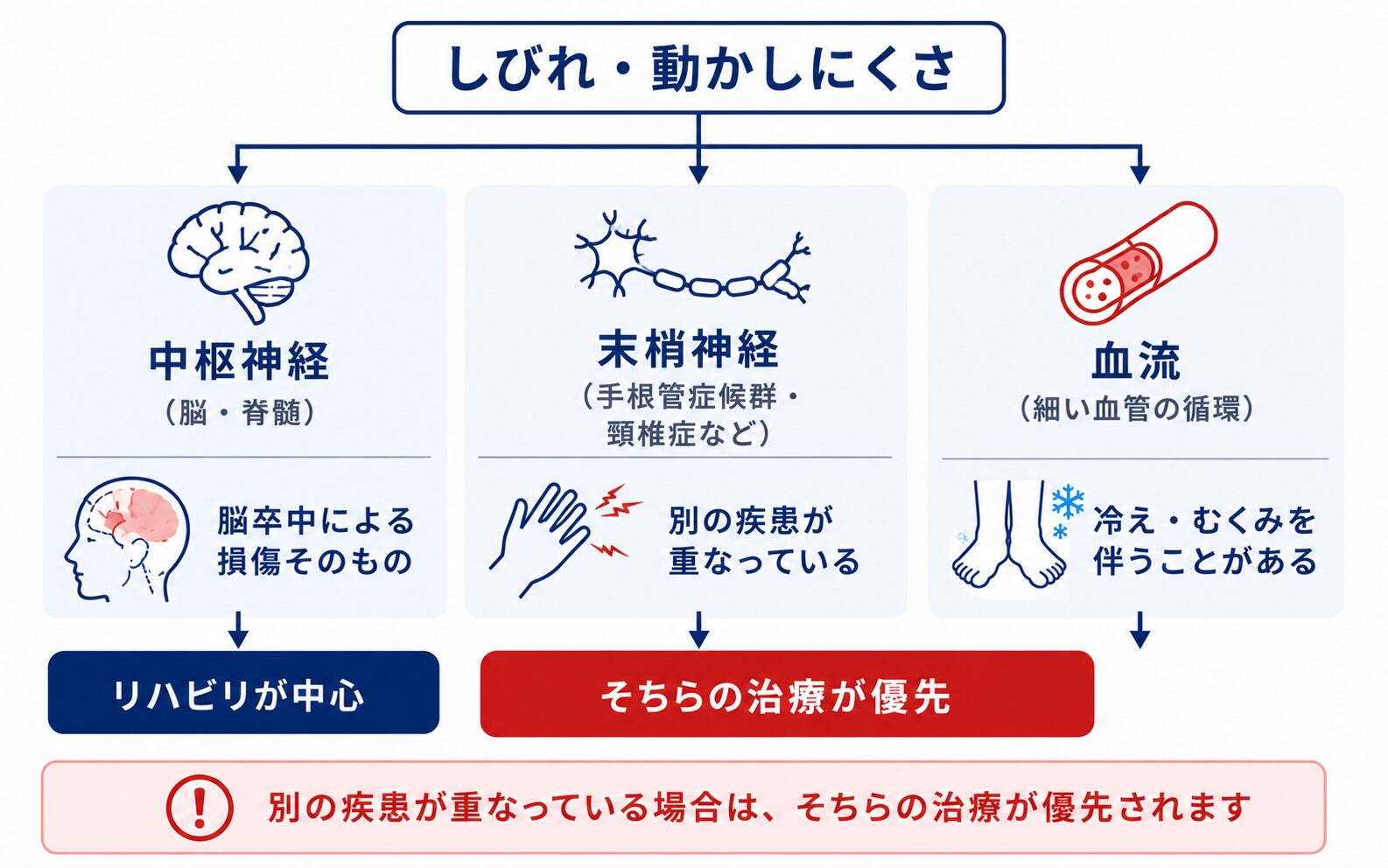 しびれの原因を中枢神経・末梢神経・血流の3つに分けて考える図解