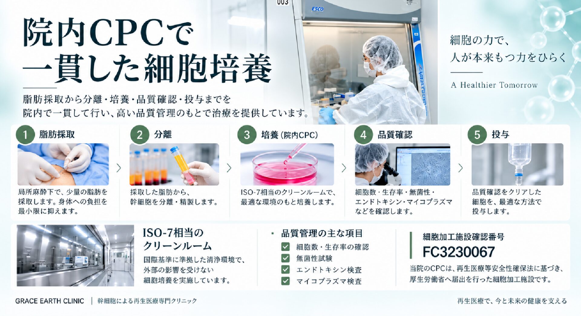 幹細胞治療の工程。脂肪採取、分離、院内CPCでの培養、品質確認、投与の5段階。ISO-7相当のクリーンルームで管理し、細胞加工施設確認番号はFC3230067